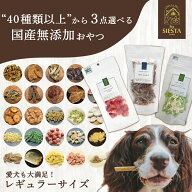犬 おやつ プレゼント 無添加 国産 詰め合わせ レギュラーサイズ 選べる トリーツ 送料無料 ラッピング …