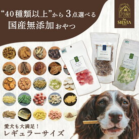 犬 おやつ プレゼント 無添加 国産 詰め合わせ レギュラーサイズ 選べる トリーツ 送料無料 ラッピング 北海道産 フリーズドライ ビスケット ジャーキー 野菜 フルーツ 鶏 豚 魚 鹿肉 低カロリー 硬い 柔らかい 3種類選べるおやつセット FREEBIRD フリーバード
