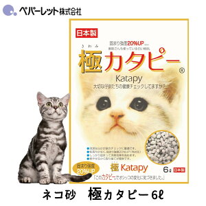 yp[bg ɃJ^s[ 6L 1 6܃Zbg L lR  ł܂ Fς  RS~ L lRgCpi ɂ݃J^s[ FREEBIRD t[o[h cycs00541