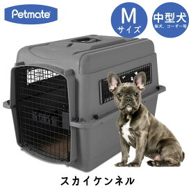 バリケンネル ハードキャリー クレート ハードクレート キャリー 両開き 小型犬 中型犬 お出かけ 飛行機 飛行機輸送 災害時 ハウス 送料無料 IATA ペットメイト スカイケンネル Mサイズ Petmate FREEBIRD フリーバード