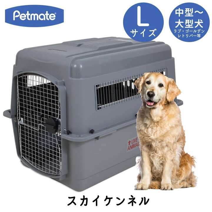 楽天市場】【ポイント5倍 〜12/11(水) 1:59まで】バリケンネル  