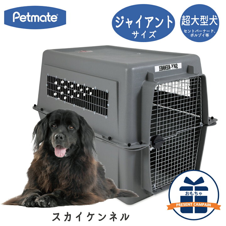 楽天市場】バリケンネル ハードキャリー クレート ハードクレート 
