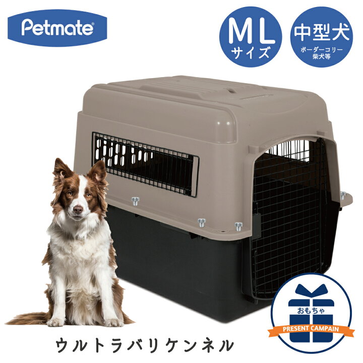 楽天市場】ハードキャリー 犬 クレート ハードクレート キャリー 