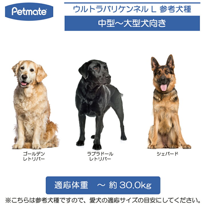 楽天市場】ハードキャリー 犬 クレート ハードクレート キャリー 