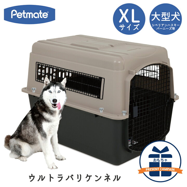楽天市場】ハードキャリー 犬 クレート ハードクレート キャリー 