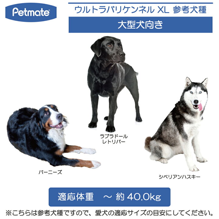 楽天市場】ハードキャリー 犬 クレート ハードクレート キャリー 