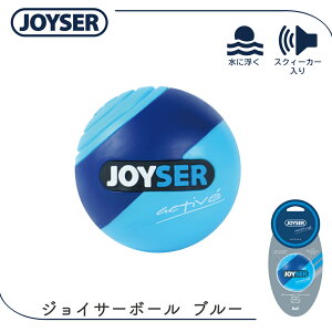   {[ ɕ  AEghA y JOYSER WCT[{[ C u[ FREEBIRD t[o[h