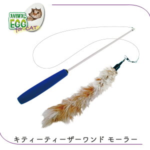 L炵 L  [[ ӂӂ  Lт郍bh \tgObv ₷  ǂ AE CAT LeB[ eB[U[h [[ FREEBIRD t[o[h