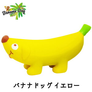   hbOgC ebNX XNC[J[ 炩 킢 `R oii Ât ȓ ps[ ^ ^ oiihbO CG[ O[ n[g FREEBIRD t[