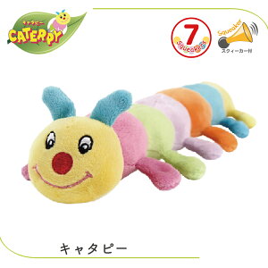 ʂ  ނ  炩 XNC[J[ e  VjA ^ ^ ^ L^s[ L^s[JriWjAj FREEBIRD t[o[h