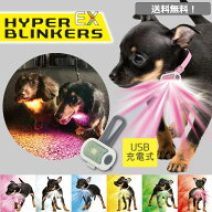 犬 お散歩ライト 光る ライト 散歩 USB充電 おすすめ おしゃれ 夜 明るい 小型犬 中型犬 大型犬 プラッツ…
