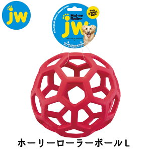 mgC ^   VjA ݂ {[ o[gC i`o[ bh JW z[[[[{[ L FREEBIRD t[o[h