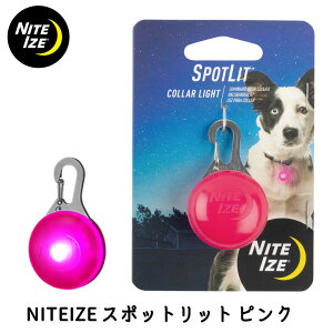  ybg U UpCg dr LED ^ ^ ^ PLATZ vbc NITEIZE iCgACY X|bgbg FREEBIRD t[o[h