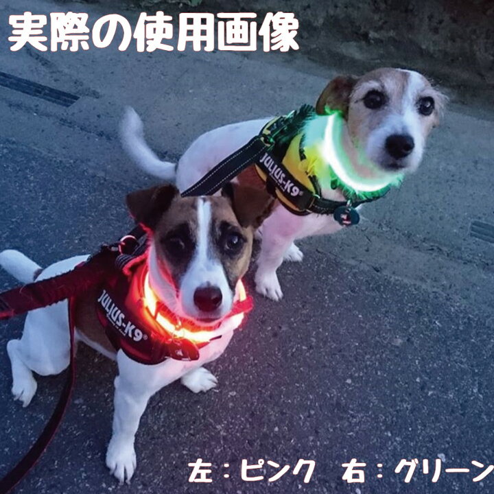 楽天市場 犬 光る 首輪 ライト 散歩 充電式 Usb充電 おすすめ おしゃれ 夜 明るい 送料無料 あす楽対応 プラッツ Platz セーフティーカラー 35 グリーン Freebird フリーバード Free Bird