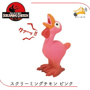 ebNX hbOgC   炩 낢 A   jg ^ XN[~O`L sN CG[ FREEBIRD t[o[h