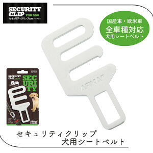  hCu S gu [h V[gxg яoh~ h~ SԎΉ RpNg ZLeBNbv pV[gxg FREEBIRD t[o[h