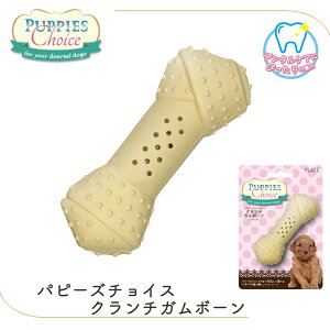  hbOg[C t@[Xgg[C pLpL i`o[ o[gC ps[ c VjA ps[Y`CX N`K{[ FREEBIRD t[o[h