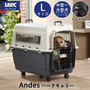 N[g   IATA ړ   ybgL[ L[P[X ^ ^ s@ A  SAVIC AfX L SV3281