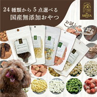 犬 おやつ 無添加 国産 詰め合わせ お試し 北海道産 フリーズドライ ビスケット ジャーキー 野菜 フルー…