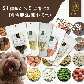 犬 おやつ 無添加 国産 詰め合わせ お試し 北海道産 フリーズドライ ビスケット ジャーキー 野菜 フルーツ 鶏 豚 魚 鹿肉 ジビエ 低カロリー 硬い 柔らかい 選べるおやつミニサイズ 犬用おやつ 5種類 FREEBIRD フリーバード