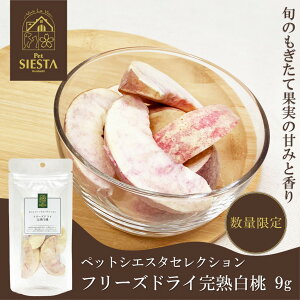   Y Y ʕ t[c  S R`Y t[YhC n 9g gbsO FREEBIRD t[o[h ybgVGX^ZNV