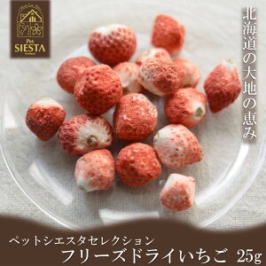 e  C`S t[YhC  p ybg  Y kCY Y  ʕ t[c gbsO 25g  S FREEBIRD t[o[h ybgVGX^ZNV