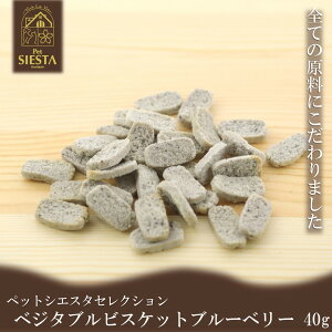   Y Y t[c gbsO  S xW^urXPbg kCY u[x[ 40g FREEBIRD t[o[h ybgVGX^ZNV