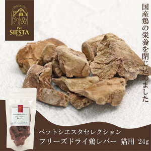 L  Y Y { Ƃ o[  S Yf t[YhC {o[ Lp 24g FREEBIRD t[o[h ybgVGX^ZNV