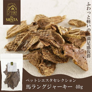  L  Y  n  S nOW[L[ 40g FREEBIRD t[o[h ybgVGX^ZNV