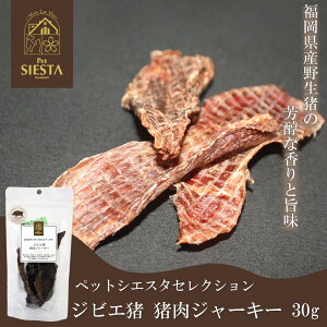   Y Y CmVV   Y WrG W[L[ 30g FREEBIRD t[o[h ybgVGX^ZNV