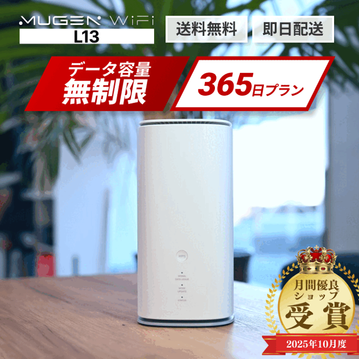 値下げ新品未使用Wi-Fiルーター、大容量高速、大人数用 1年間100GB付きWi-Fiルーター「月額費用不要・契約不要・端末買切り