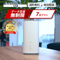 ZTE 「新品 未使用品」ZTE Speed Wi-Fi HOME 5G L13 ホワイト