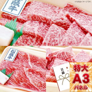 ژ^ pl rS ii  yIׂ鏼㋍mēp200g Ԃp200g TCRXe[Lp180gnzA3pl rSii OMtg plt YN  񎟉 I St R