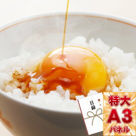 楽天市場 卵かけご飯 ホビー の通販 楽天市場 卵かけご飯 ホビー の通販