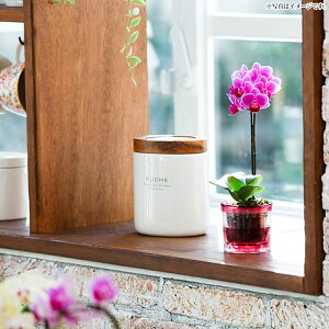 Ӓ}CNANA|bg[ j a v[g Ԃ ̓ ̓]