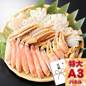 ژ^ pl rS ii yYCKj ɂԃZbgi1kgjzA3pl rSii OMtg plt YN  񎟉 I St Ry ii