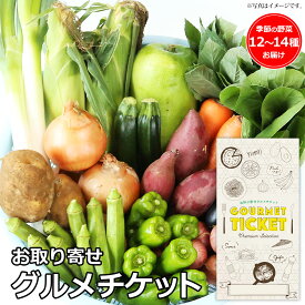 お取り寄せグルメチケット 生産者限定 JAS認証有機野菜BOX Dセット[ギフト ギフト券 カタログギフト ギフトカード カードタイプ グルメカード 商品券 ギフトチケット]