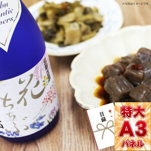 ژ^ pl rS ii yb@ ԂԏĐƂႭؖu߁shɂႭzA3pl rSii OMtg plt YN  񎟉 I St Ry 