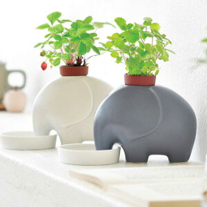 rS iiyۂ̕@琅zĐAĂ͔|Zbg GvczYN rSii I Ly[ St Ry StRy  Ղ Cxg