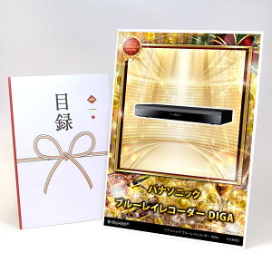 �r���S �i�i ������ �񎟉� �i�i �y�ژ^������ A3�p�l���t �O���� �p�i�\�j�b�N �u���[���C���R�[�_�[ DIGA�z �S���t�R���y �i�i ���I�� �i�i �V�N�� �i�i