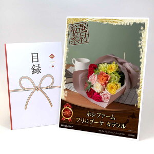 ژ^ pl rS ii yzVt@[ tu[P JtzA3pl rSii OMtg plt YN  񎟉 I St Ry ii