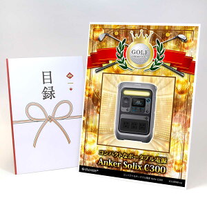 �S���t�R���y �i�i �ژ^ �y�A�b�v�O���[�h �S���t�R���y �p�l�� �R���p�N�g�ȃ|�[�^�u���d�� Solix C300�zA3�p�l���t�� �i�i�Z�b�g �R���y�i�i �S���t�R���y�i�i �S���t�R���y�ܕi �l�C ������