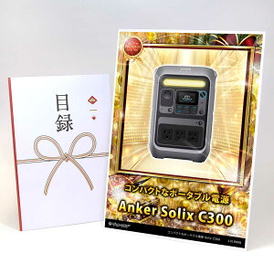 ژ^ pl rS ii yRpNgȃ|[^ud Solix C300zA3pl rSii OMtg plt YN  񎟉 I St Ry ii