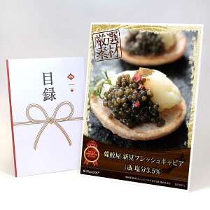 ژ^ pl rS ii yL VtbVLrA1r 3.5zA3pl rSii OMtg plt YN  񎟉 I St Ry ii