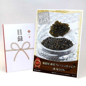 YN ii rS 񎟉 ژ^  A3plt OyL VtbVLrA1r 5z iiZbg  ii StRy