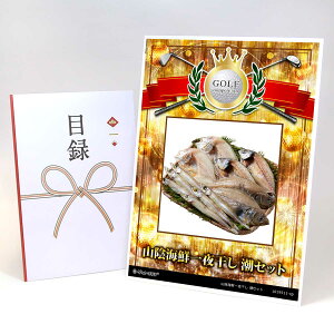 StRy ii ژ^ yAbvO[h StRy pl RACN銱 ZbgzA3plt iiZbg Ryii StRyii StRyܕi lC  \ 