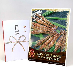 ژ^ pl rS ii yF{E N YⓀԊCVzA3pl rSii Mtg plt YN  񎟉 I St Ry ^ Pi