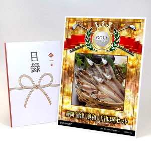 StRy ii ژ^ yAbvO[h StRy pl É Áuav3ZbgzA3plt iiZbg Ryii StRyii StRyܕi lC  