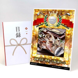 StRy ii ژ^ yAbvO[h StRy pl É Áuav5ZbgzA3plt iiZbg Ryii StRyii StRyܕi lC  