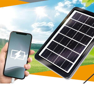 ビンゴ 景品【エマージェンシーソーラパネル ネオ】忘年会 ビンゴ景品 抽選会 キャンペーン ゴルフ コンペ ゴルフコンペ 縁日 お祭り イベント